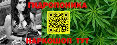 гашиш Кимры