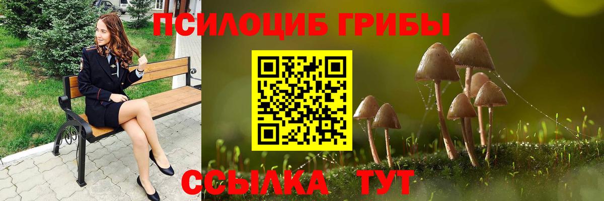 Псилоцибиновые грибы Magic Shrooms  Псилоцибиновые грибы Cubensis  Вход с VPN  Кудрово 